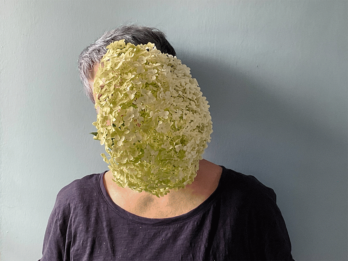 Nature Takes Over